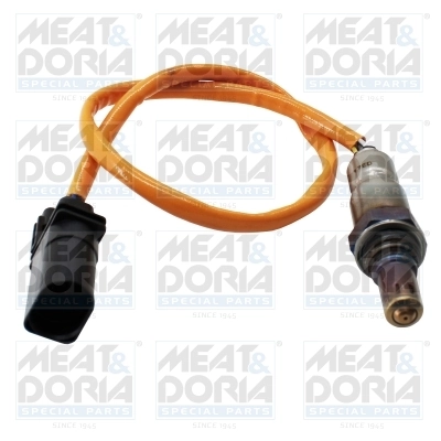 Oxygen Sensor
